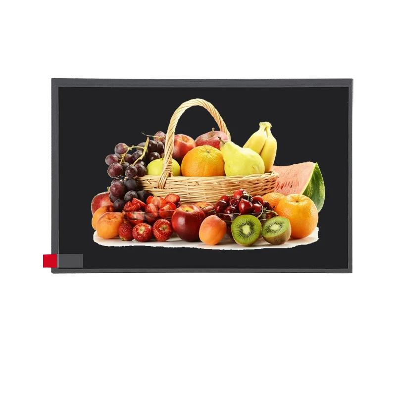 10.1 Zoll Standard 1024x600px MIPI-Schnittstelle TFT ohne Touchscreen