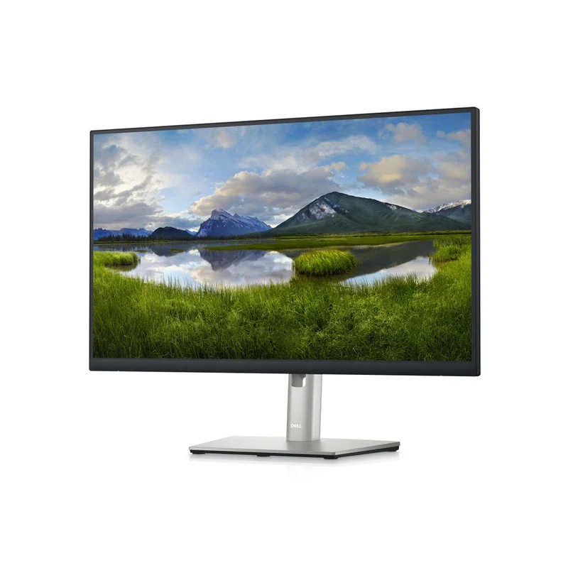 Dell 24 Monitor P2423D 60,5Cm (23,8 )