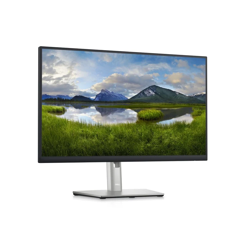 Dell 24 Monitor P2423D 60,5Cm (23,8 )