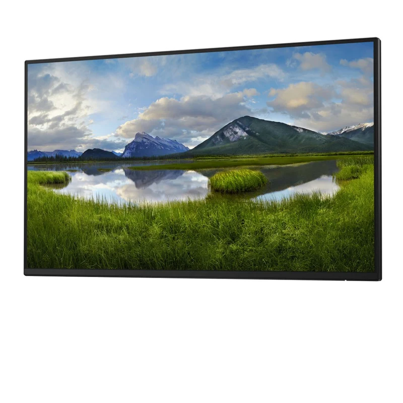 Dell 24 Monitor P2425H Without Stand