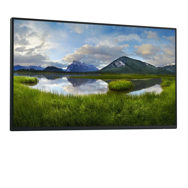 Dell 24 Monitor P2425H Without Stand