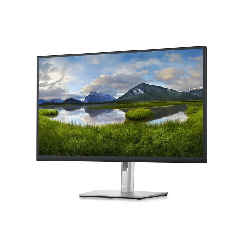 Dell 27 Monitor P2723D 68,6Cm (27 )