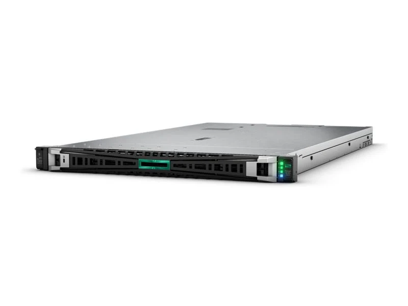 Hpe Dl360 G11 4510 64G 8Sff Mr408I-O Svr