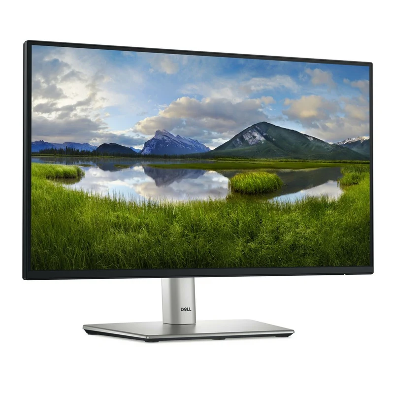 Dell 22 Monitor P2225H