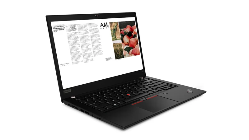 Lenovo ThinkPad T490 Notebook 14" FullHD | Intel Core i5-8365U | Ram 16GB | FreeDOS