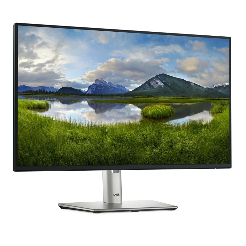 Dell 24 Usb-C Hub Monitor P2425He