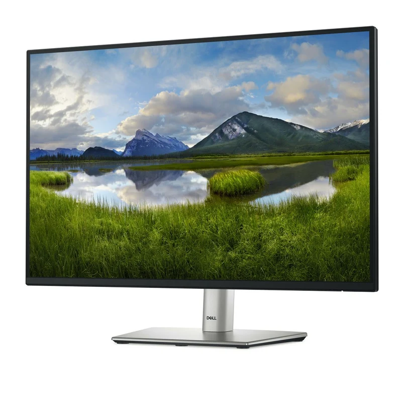 Dell 24 Monitor P2425
