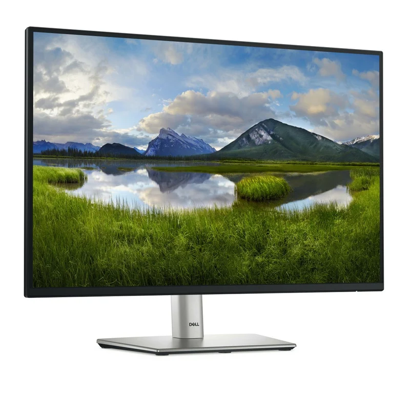 Dell 24 Monitor P2425