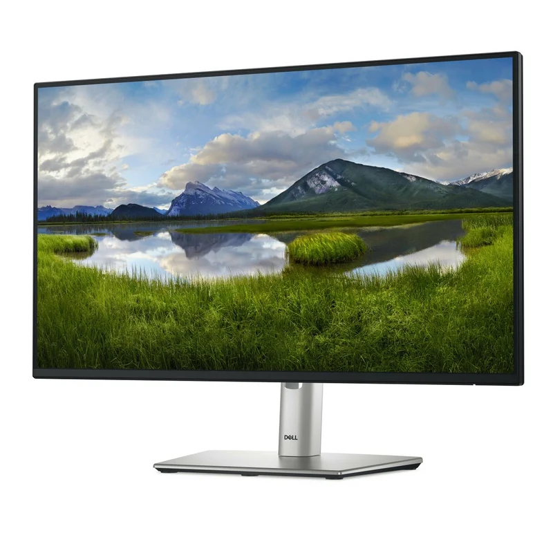 Dell 24 Monitor P2425H