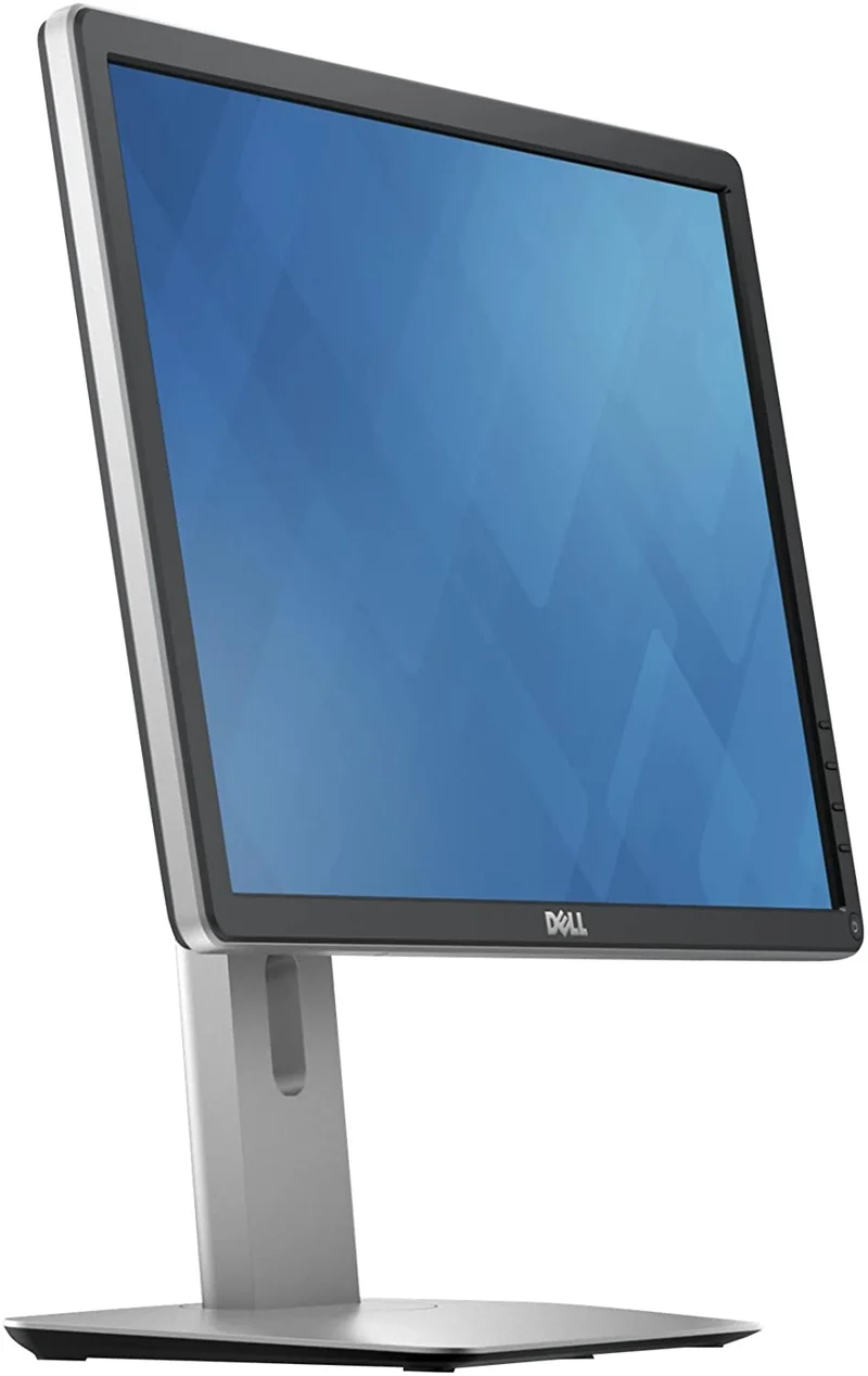 DELL P2016 Monitor LED 19,5" 1440x900 pixel IPS Antiriflesso Luminosità 250 cd/m2 1000:1 Tempo di risposta 8ms Hub USB