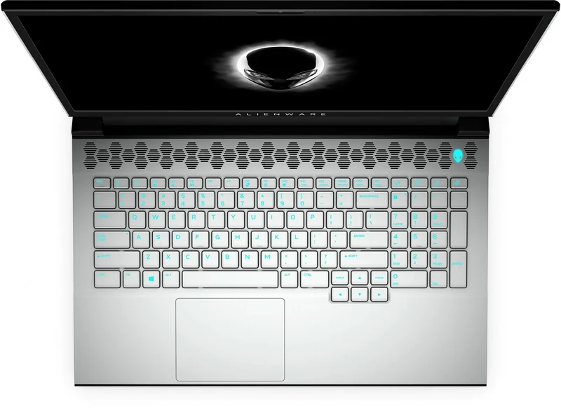 DELL Alienware M17 R2 Notebook Gaming 17.3" 1920x1080 Pixel| Intel Core i7-9750H 2.6Ghz | 16Gb Ram | 1Tb SSD | NVIDIA GeForce RTX 2070 | Windows 10 Pro RGB (Nero)