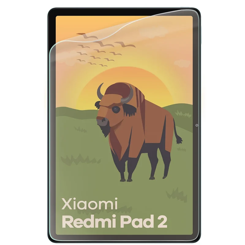 Matte Folie für Xiaomi Redmi Pad 2 9.7", Bizon Tab Film Matte, 1 Stück