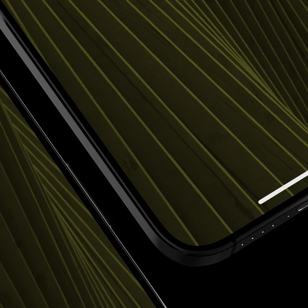 Gehärtetes Glas mit Applikator für iPhone 15 Pro, Hammer Glass XPress Protect
