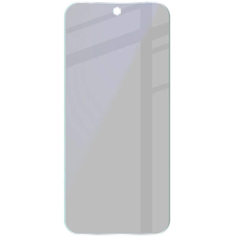 Hybridglas mit Privatschutzfilter für Google Pixel 10 Pro XL, Bizon Hybrid Shadow, Matt