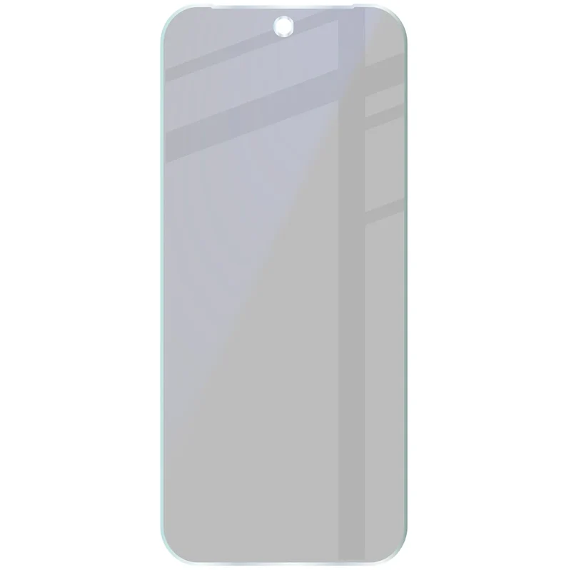 Hybridglas mit Privatschutzfilter für Google Pixel 10 Pro, Bizon Hybrid Shadow, Matt