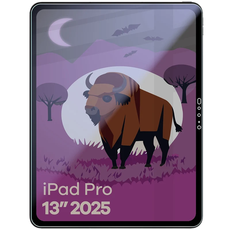 Hybridglas mit Privatschutzfilter für iPad Pro 13" M5 2025, Bizon Tab Hybrid Shadow, Matt