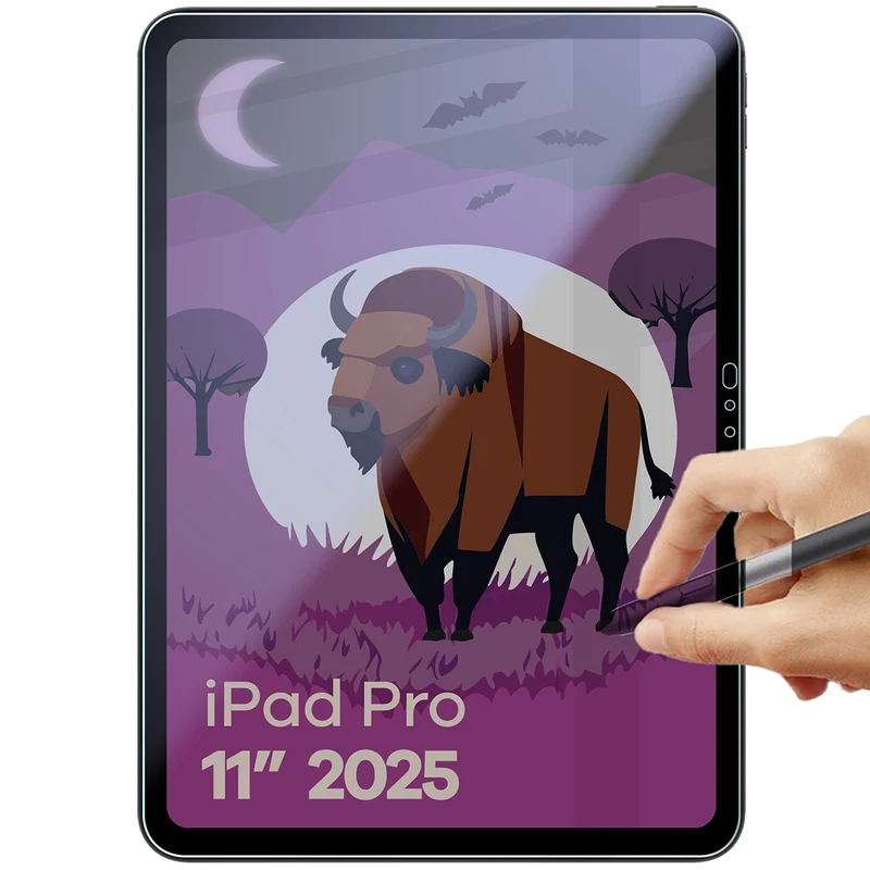 Hybridglas mit Privatschutzfilter für iPad Pro 11" M5 2025, Bizon Tab Hybrid Shadow, Matt