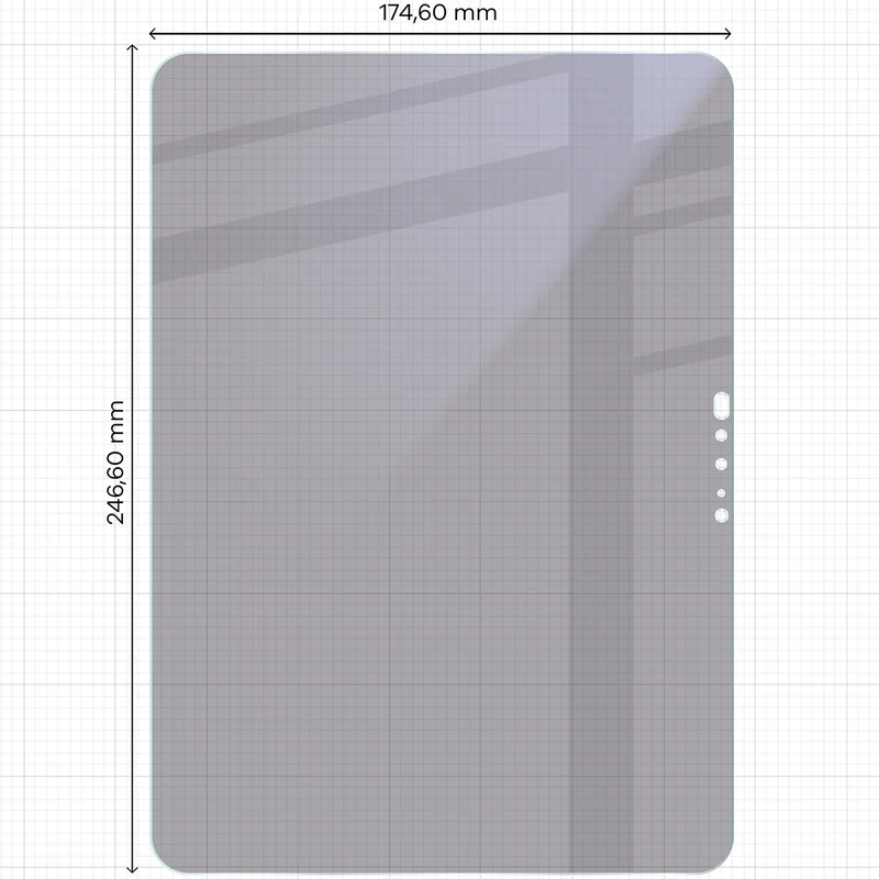 Hybridglas mit Privatschutzfilter für iPad Pro 11" M5 2025, Bizon Tab Hybrid Shadow, Matt