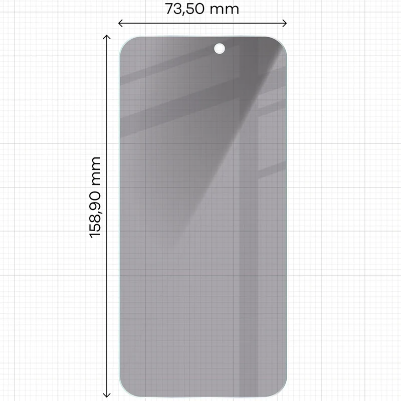 Gehärtetes Glas mit Privatschutzfilter für iPhone 16 Pro Max, Bizon Glass Clear Shadow Duo, getönt, 2 Stück