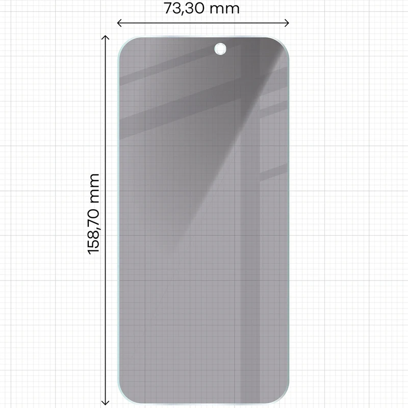 Gehärtetes Glas mit Privatschutzfilter für iPhone 17 Pro Max, Bizon Glass Clear Shadow, getönt