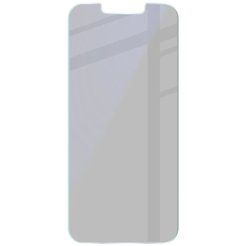 Hybridglas mit Privatschutzfilter für iPhone 17e / 16e, Bizon Hybrid Shadow, Matt
